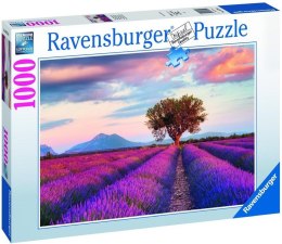 Ravensburger - Puzzle 2D 1000 elementów: Sielski krajobraz Ravensburger