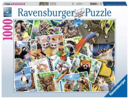 Ravensburger: Puzzle 1000el. - Zwierzaki w podróży Ravensburger