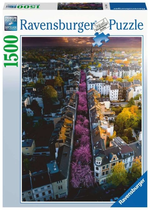 Ravensburger - Puzzle 2D 1500 elementów: Bonn. Niemcy Ravensburger