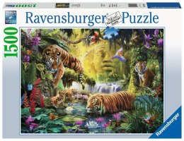 Ravensburger - Puzzle 2D 1500 elementów: Spokojne tygrysy Ravensburger