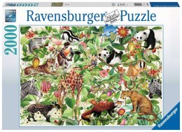 Ravensburger - Puzzle 2D 2000 elementów: Dżungla Ravensburger