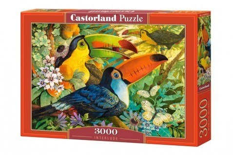 Puzzle 3000 elementów Ptaki Tukany Interlude Castor