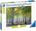 Puzzle 1000 elementów Natura 1 Ravensburger Polska