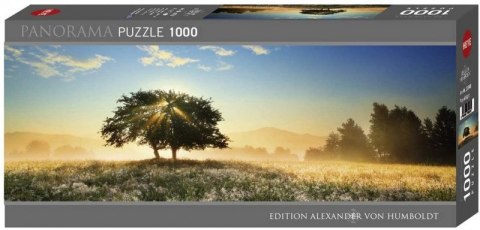 Puzzle 1000 elementów Zabawa światłem Heye