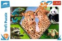 Puzzle 100 elementów - Piękno natury Animal Planet Trefl