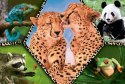 Puzzle 100 elementów - Piękno natury Animal Planet Trefl