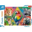 Puzzle 1000 elementów Egzotyczne zwierzęta Animal Planet Trefl