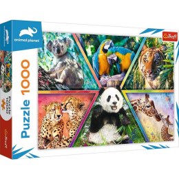 Puzzle 1000 elementów Królestwo zwierząt Animal Planet Trefl