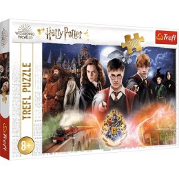 Puzzle 300 elementów Tajemniczy Harry Potter Trefl