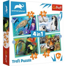 Puzzle 4w1 Tajemniczy świat zwierząt Trefl