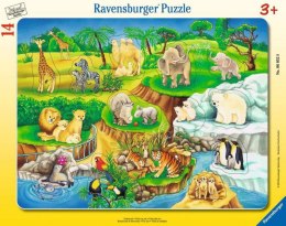 Puzzle 14 elementów Wizyta w zoo Ravensburger Polska