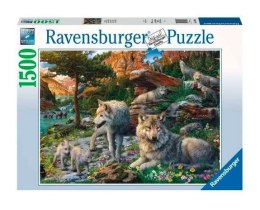 Puzzle 2D 1500 elementów Wiosenne wilki Ravensburger Polska