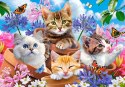Puzzle 500 elementów Kotki w kwiatach Castor