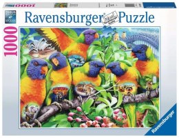 Puzzle 2D 1000 elementów Kraina Lorikeet Ravensburger Polska