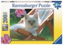 Puzzle dla dzieci 2D Zdjęcie kota 200 elementów Ravensburger Polska