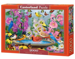 Puzzle 2000 elementów Ptaki Rytm natury Castor
