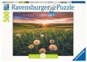 Puzzle 500 elementów Łąka Ravensburger Polska