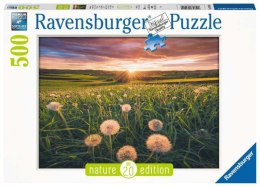 Puzzle 500 elementów Łąka Ravensburger Polska