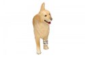 Golden retrieve r, suczka Schleich