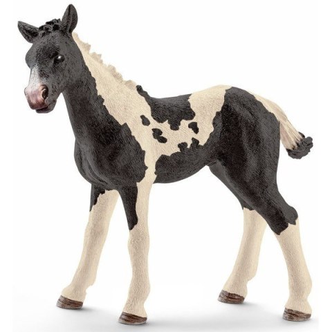 Łaciaty źrebak Schleich