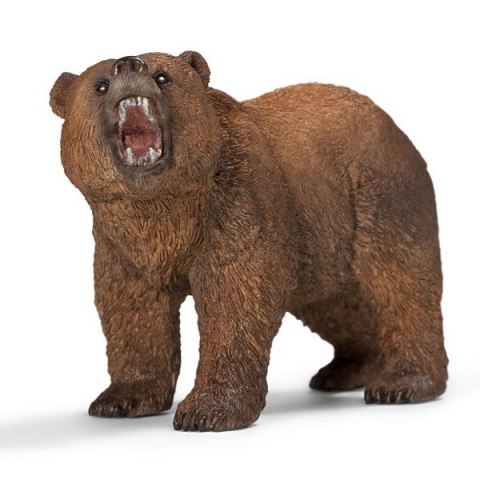 Niedzwiedź Grizzly Schleich