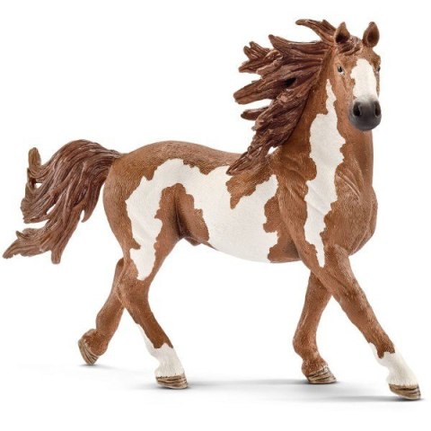 Pinto ogier Schleich