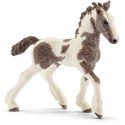 Tinker źrebię Schleich