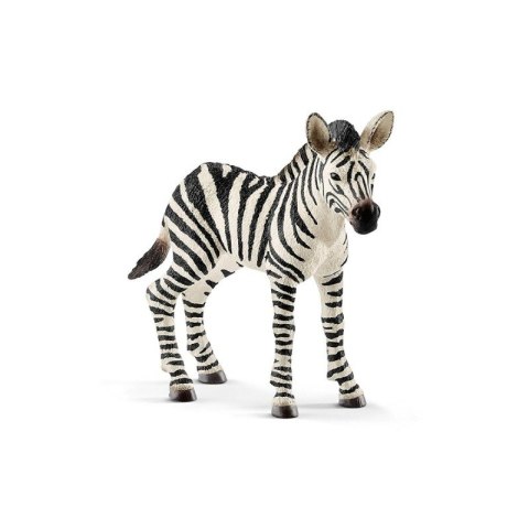 Zebra, źrebię Schleich