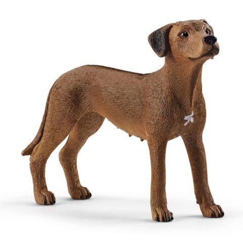 Farm World Rhodesian Ridgeback Schleich