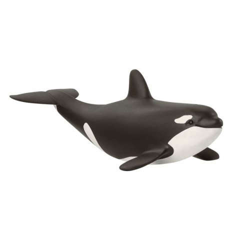 Orka dziecko Schleich