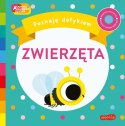 Książeczka Zwierzęta. Akademia Mądrego Dziecka. Poznaję dotykiem Harper Collins