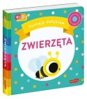 Książeczka Zwierzęta. Akademia Mądrego Dziecka. Poznaję dotykiem Harper Collins