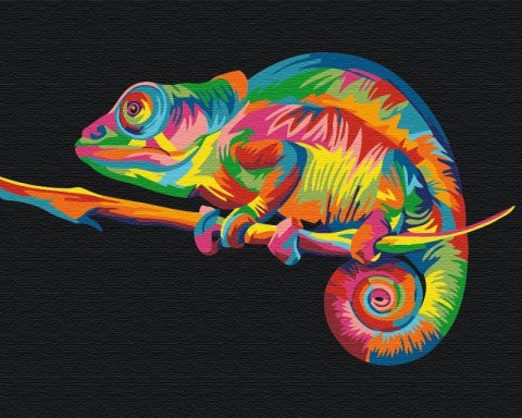 Obraz Paint it! Malowanie po numerach. Kameleon Symag