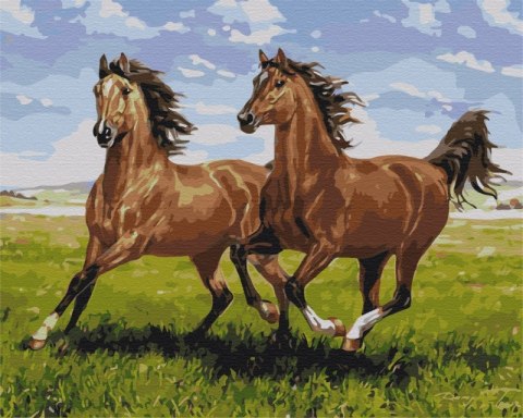Obraz Paint it! Malowanie po numerach. Konie na łące Symag