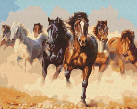 Obraz Malowanie po numerach - Konie w galopie Symag