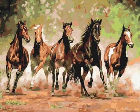 Obraz Malowanie po numerach - Stado koni Symag