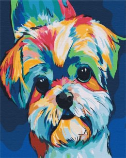 Obraz Paint it! Malowanie po numerach - Kolorowy pies Symag