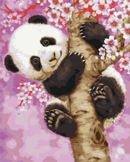 Obraz Paint it! Malowanie po numerach. Panda na drzewie wiśni Symag