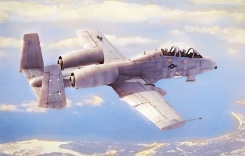 N/AW A-10A Thunderbolt II 1/48 Hobby Boss