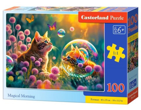 Puzzle 100 elementów Magiczny poranek Castor