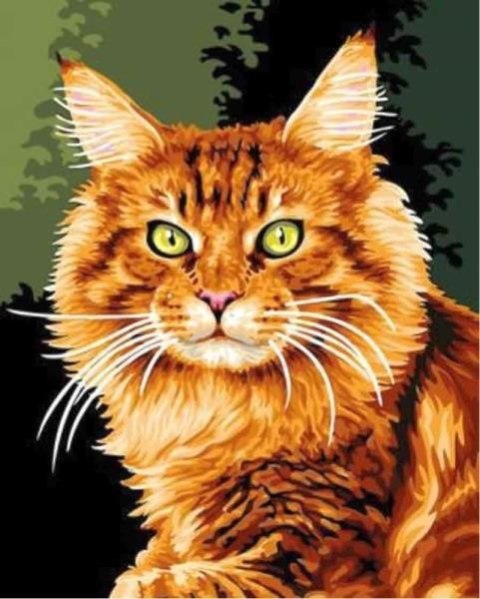 Obraz Malowanie po numerach - Kot rudy Norimpex