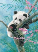 Puzzle 500 elementów Panda Babusowe sny Castor