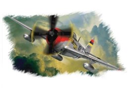 HOBBY BOSS P-47D 