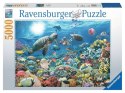 Puzzle 5000 elementów Głębia Oceanu Ravensburger Polska