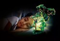 Zestaw figurek Wiltopia 71009 Nocne światło lasu deszczowego Playmobil