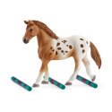 Figurka Zestaw treningowy Koni Appaloosa Schleich