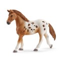 Figurka Zestaw treningowy Koni Appaloosa Schleich