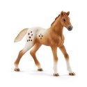 Figurka Zestaw treningowy Koni Appaloosa Schleich