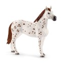 Figurka Zestaw treningowy Koni Appaloosa Schleich