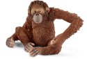 Orangutan samica Schleich